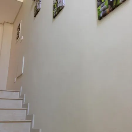 Lavanda Messonnet Limassol